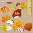 Autumn sales