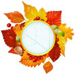 Vector Autumnal round frame
