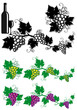 Vektor: grapes and vine leaves, vector grapes and vine leaves, vector