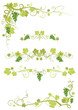 Vineyard design