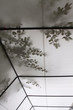 Blätterschatten