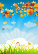 Autumn leaves and grass