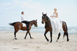 Beach wedding: bride and groom on a horses by the sea