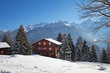 Winter holiday house