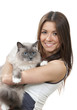 woman hold her lovely Ragdoll cat with blue eye woman hold her lovely Ragdoll cat with blue eye