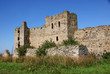 Ruins of a castle