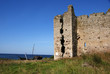 Ruins of a castle