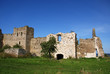 Ruins of a castle