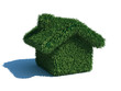 Green grass house