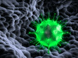 Virus