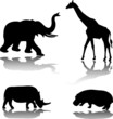 wild animals - vector