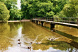 Ford on the river Frome Ford on the river Frome