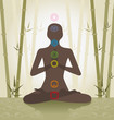 chakra system