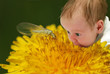 Cute baby watching a bug