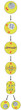 mitosis scheme (cell division)