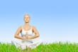 Photo en ligne au meilleur prix young woman practicing yoga meditating outdoors