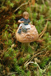 Cute tiny boy sitting on a mushroom