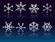 snow flakes