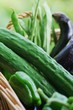 野菜の収穫