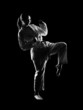 karate girl