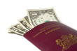 Dutch passport with dollars