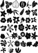 Illustration collection beautiful flowers vector Illustration collection beautiful flowers vector