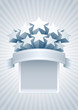 Sliver stars banner.