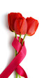 Red flowers