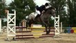 saut d'obstacles