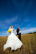 Beautiful couple on the yellow field
