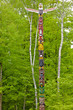 indian totem