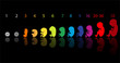 fetus stages