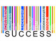 colorful SUCSESStext barcode, vector