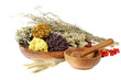 Medicinal herbs on the white background Medicinal herbs on the white background