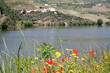 Vallée du Douro, Portugal