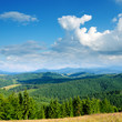 Beautiful green mountain landscape in Carpathians
