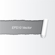 Ripped Paper Vector Background Ripped Paper Vector Background