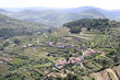 Vignes en terrasses, vallée du Douro (Portugal)