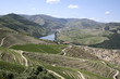 Vallée du Douro, Portugal