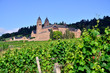 Benediktiiner Abtei, Rüdesheim Rheingau