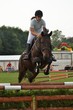 showjumping