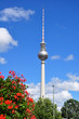 Fernsehturm in Berlin Fernsehturm in Berlin