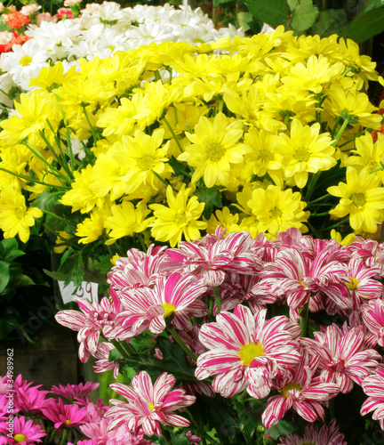 Photo: bouquets bouquets