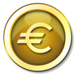 Euro icon