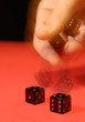 Rolling The Dice