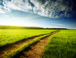 ground road and sunset