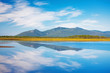 Russian, Primorye, blue reflection