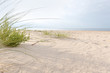 Grass on the beach.