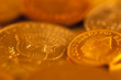 Gold coins are close to the viewer from the depth of field