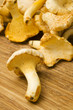girolles